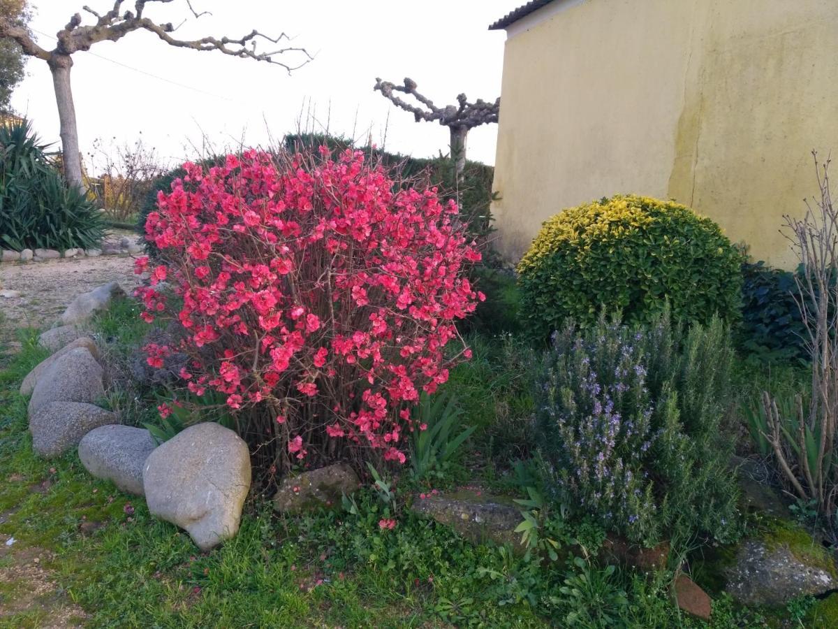 Casa Rural "Can Abres" Vilobi D'Onyar Girona Viloví de Oñar Esterno foto