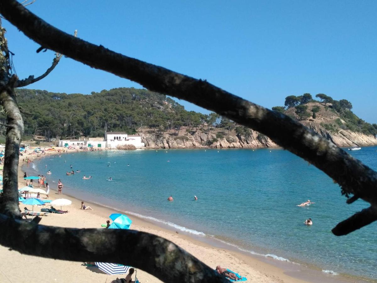 Casa Rural "Can Abres" Vilobi D'Onyar Girona Viloví de Oñar Esterno foto