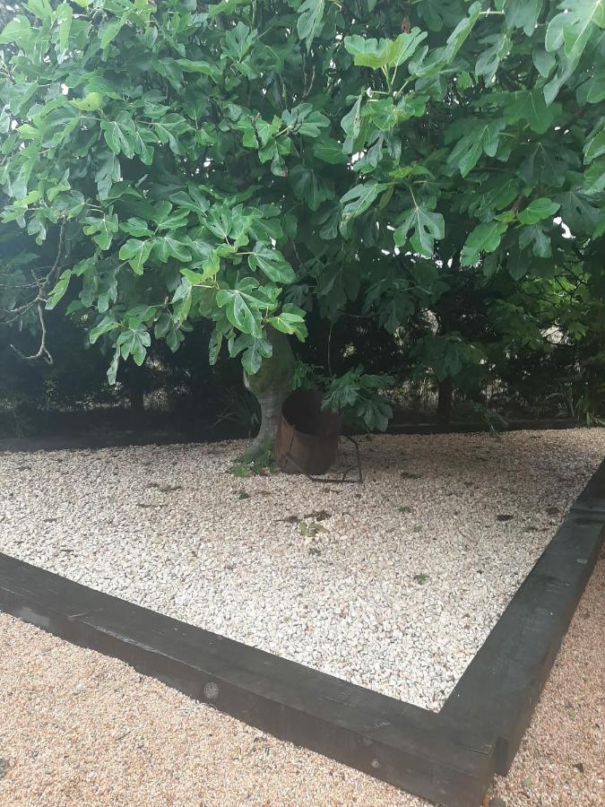 Casa Rural "Can Abres" Vilobi D'Onyar Girona Viloví de Oñar Esterno foto